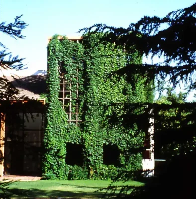 Paul Harris Street House, Chile