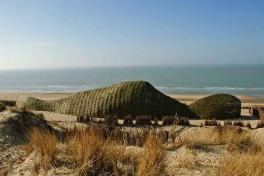 Sandworm Wenduine structure: Belgium dunes