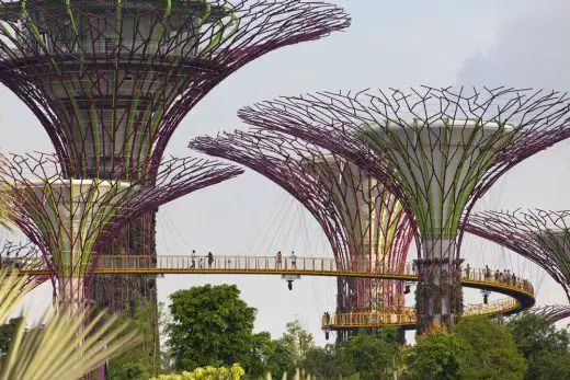 Supertree Groves Gardens by the Bay Singapore