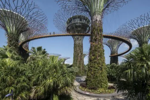 Supertree Grove of Singapore's Gardens by the Bay