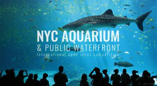 NYC Aquarium Architecture Competition
