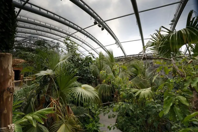 Islands at Chester Zoo Building - e-architect