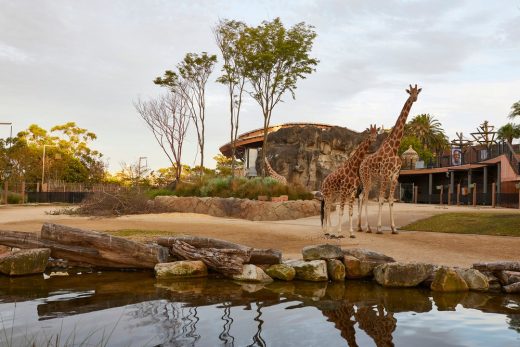 Taronga Zoo African Savannah - Sydney Architecture News