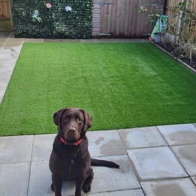 Enhancing home value with artificial grass