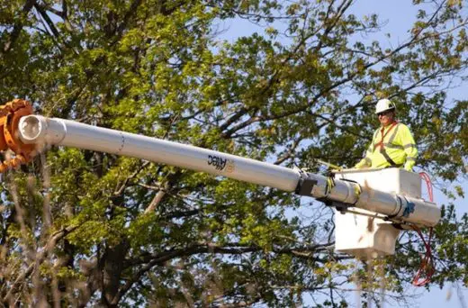 Regular tree inspections by a certified arborist