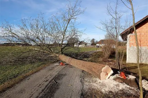 Chainsaws for managing large garden spaces