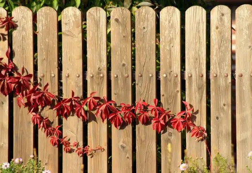 Choosing a wood and metal fence for your home