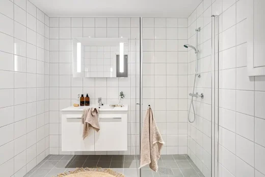 Modern bathroom accessibility: functional style