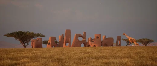 Giraffe Water Towers Serengeti