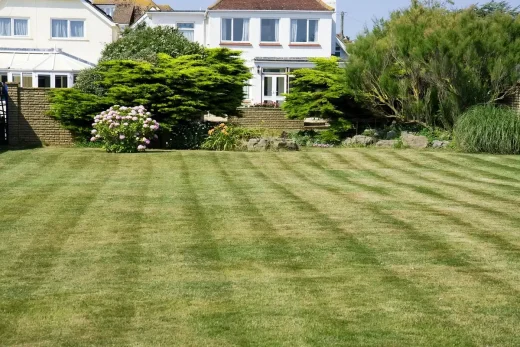 Home garden lawn stripes mowed