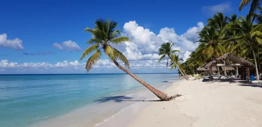 How to buy real estate in the Dominican Republic - palm tree beach sea