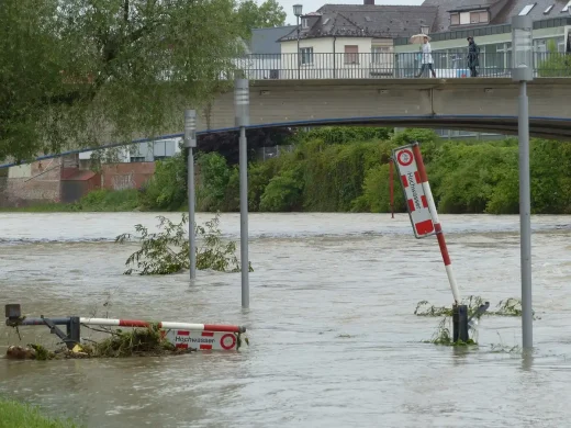 Professional water damage restoration