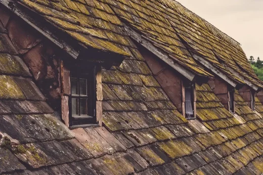 Repairing a damaged roof