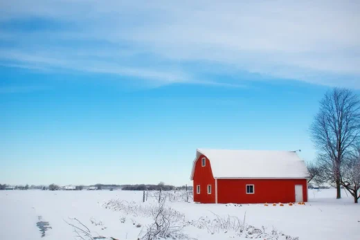 American barn sheds in modern architecture