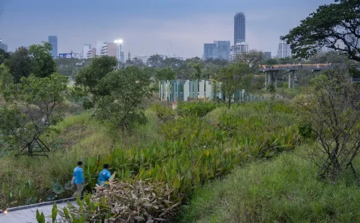 Benchakitti Rain Forest Observatory Bangkok Thailand