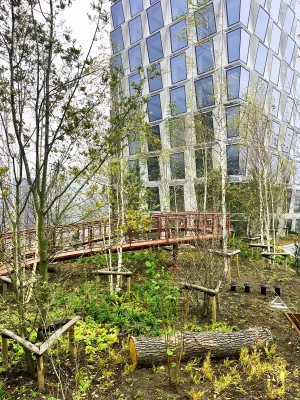 The Pulse of Amsterdam building, Zuidas urban forest