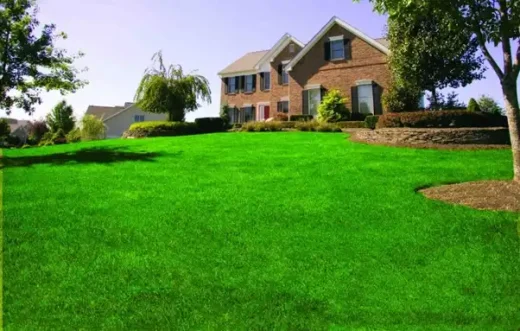 The environmental impact of artificial grass